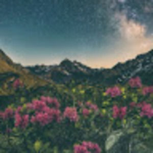 Meet your Posher, Joyce